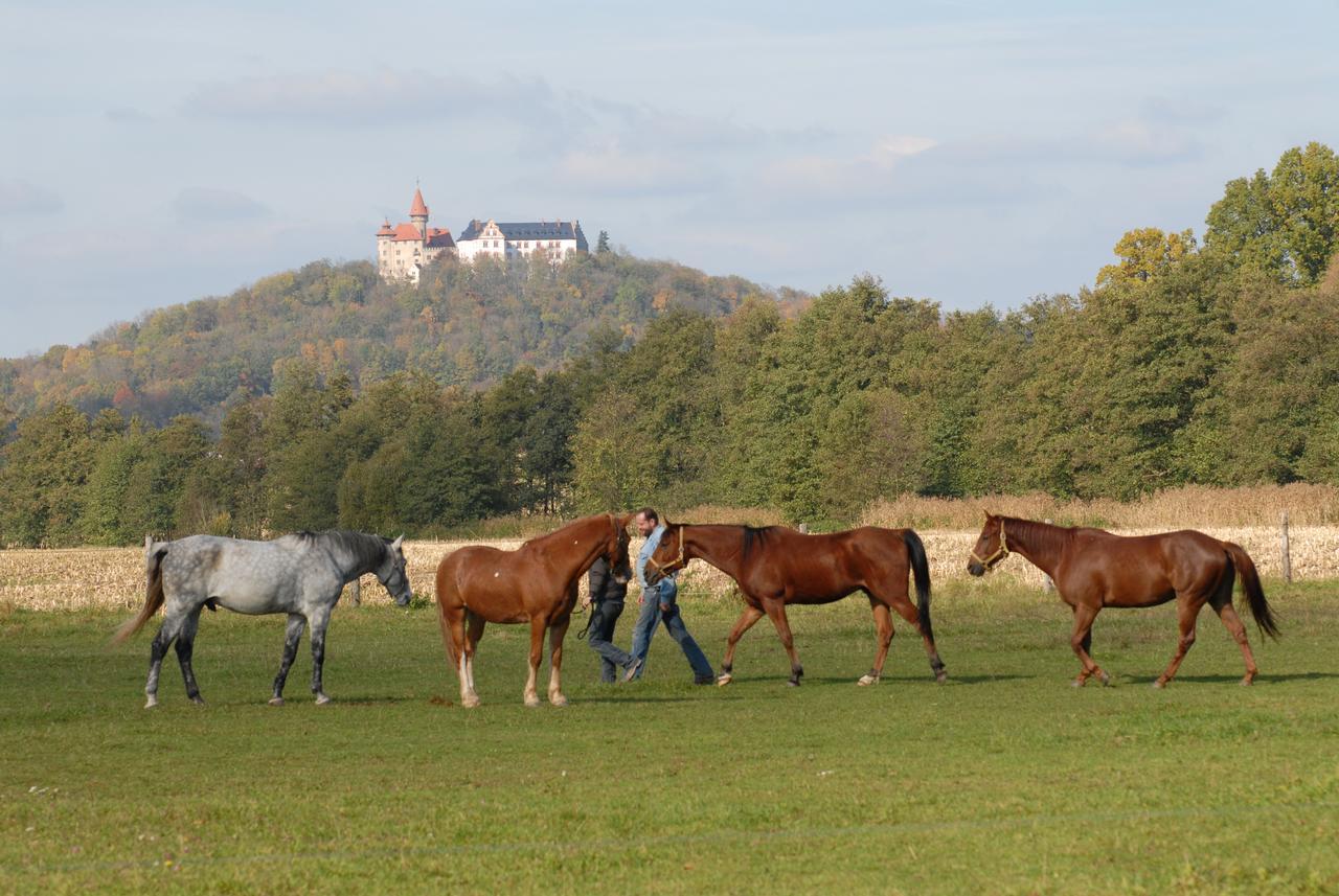 Land- Und Aktivhotel Altmuehlaue Bad Rodach Bagian luar foto